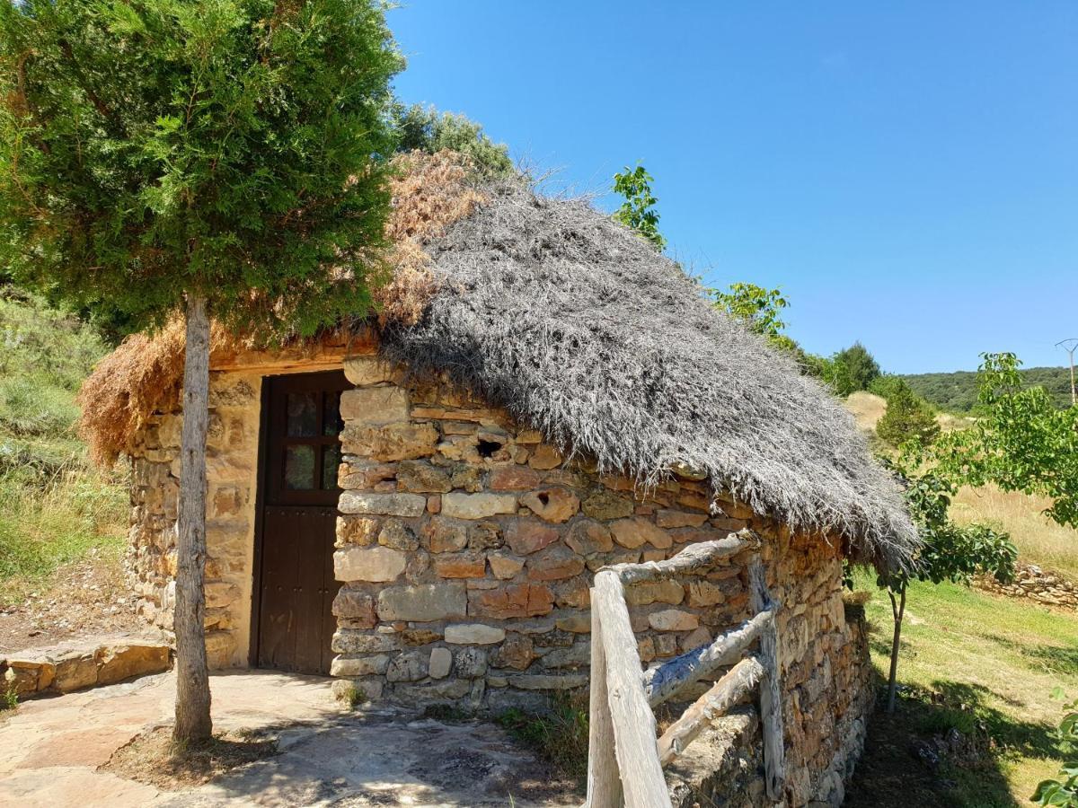Casa Rural Don Rosendo Olmeda de Cobeta Εξωτερικό φωτογραφία